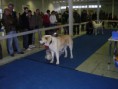 /album/fotogaleria/mix-108-jpg/